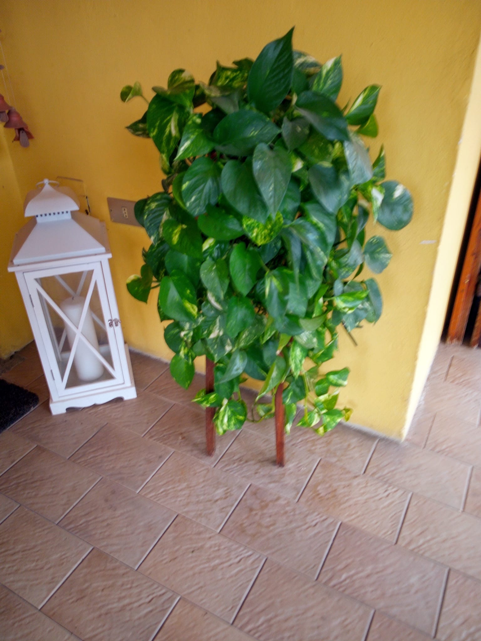 Bed and Breakfast Marie – Castelverde, Cremona, foto 26