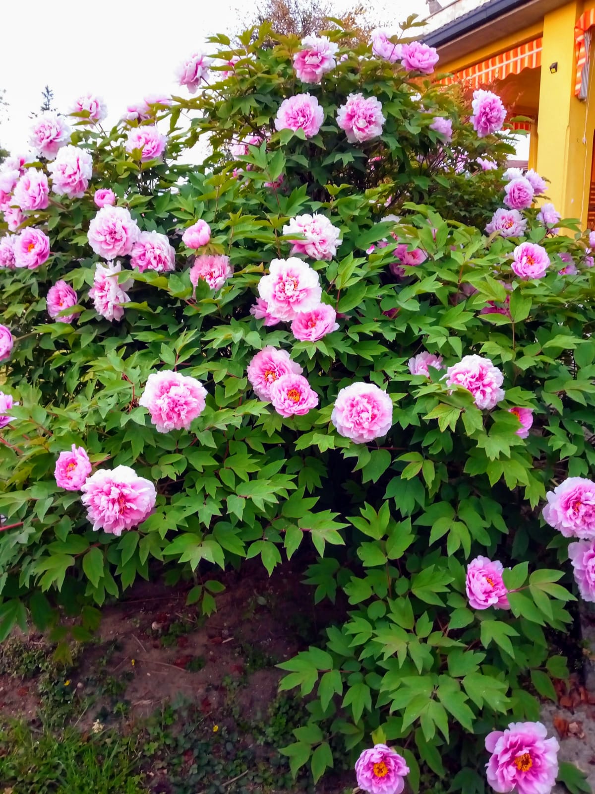 Bed and Breakfast Marie – Castelverde, Cremona, foto 28