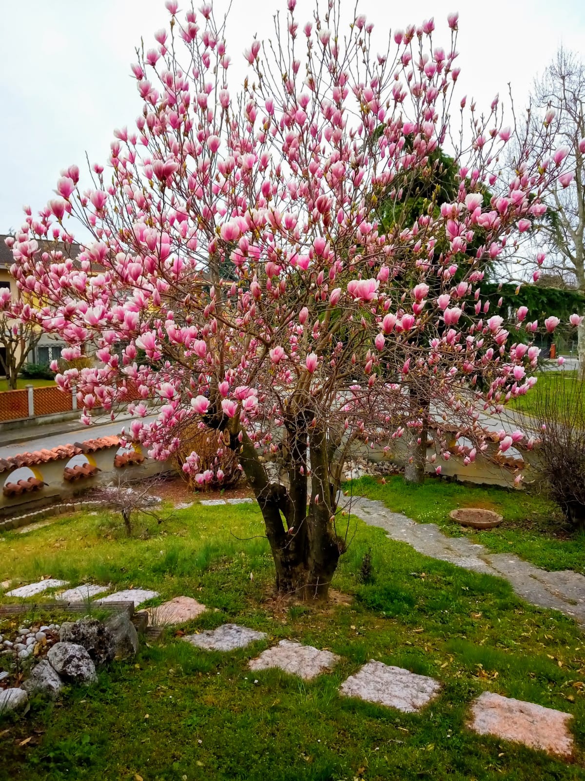 Bed and Breakfast Marie – Castelverde, Cremona, foto 29